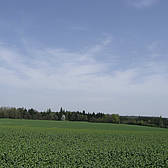 Scenery